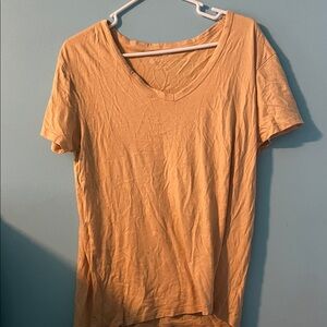 American Eagle Outfitters Tan Short Sleeve V-Neck Tee
